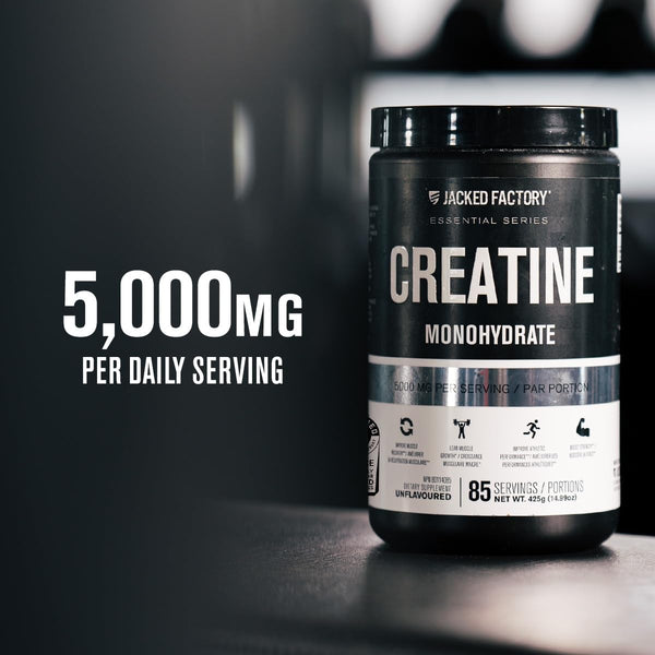 Power Boost Creatine Powder
