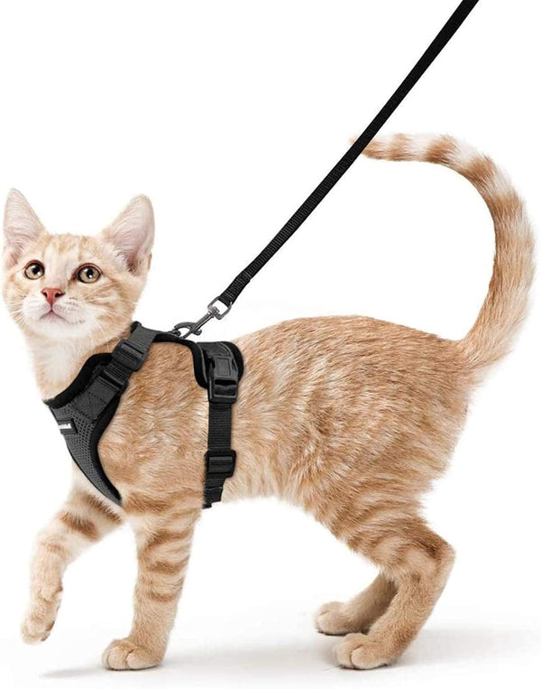 Product placeholder