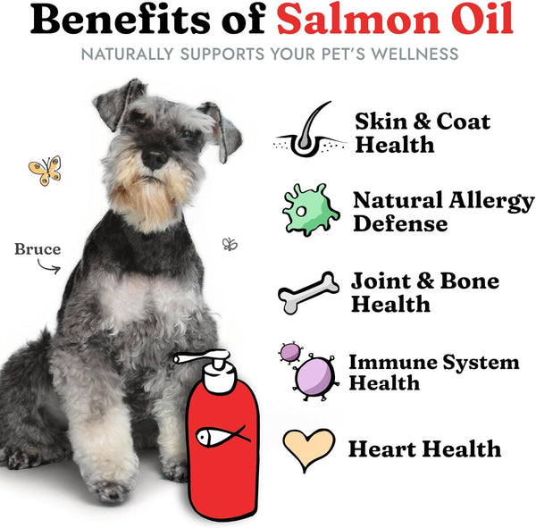 Salmon Oil for Shiny Coats
