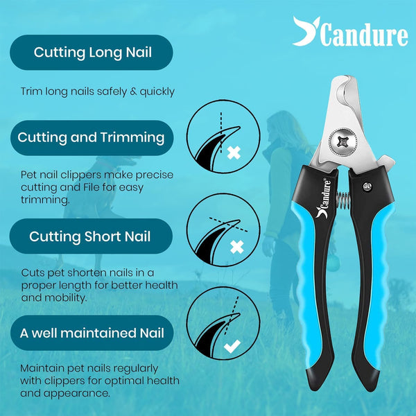 Safe & Easy Dog Nail Clippers