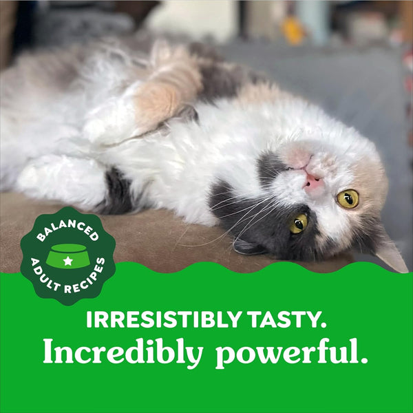 Natural Cat Dental Treats