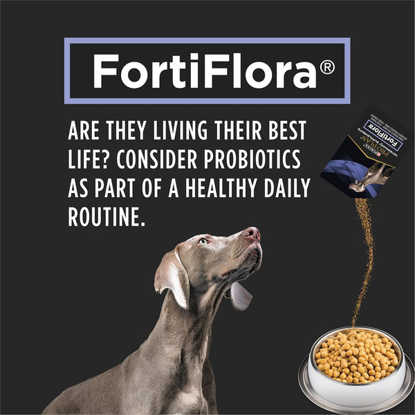 Fortiflora Dog Health Boost