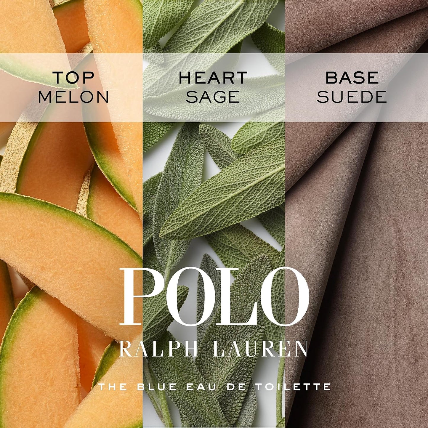 Polo Blue Men's Fragrance